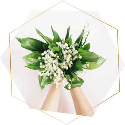 https://alexolgawedding.com/wp-content/uploads/2020/12/timeline_04.png